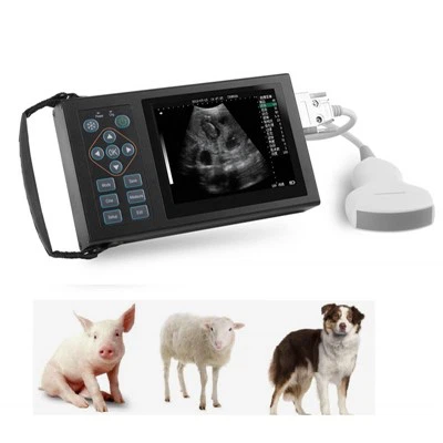 Kako riješiti problem s ultrazvučnim aparatom na laptopu?